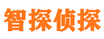 船山市私家侦探